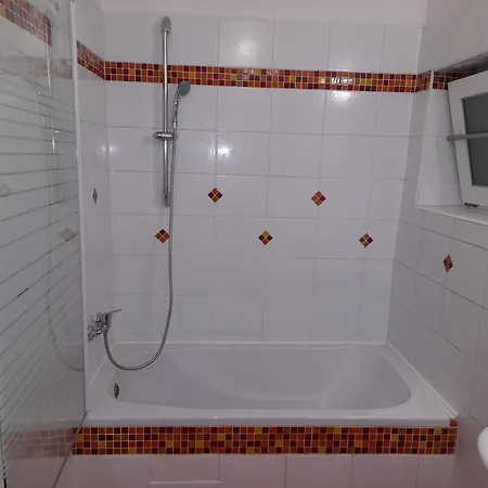 Apartment Vancurova Brno